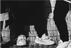 YEEZY BOOST 350 V2 Blue Tint