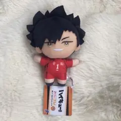 ハイキュー　みにコレ　ぬいぐるみ　マスコット　黒尾鉄朗