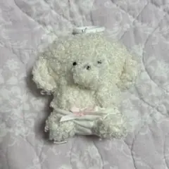 じょせまる ガチャガチャ ぱんつ