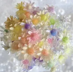 ✨chaoneko✨様 リクエスト 3点 まとめ商品