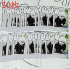 &TEAM BtL JO ジョウ 50枚 チェキ　トレカ