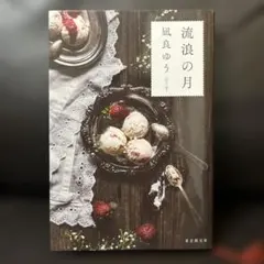 流浪の月