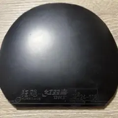 卓球ラバー　［美品］国狂颷　国キョウヒョウ3
