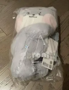 ゆ*ー様 zeroni フラットぬいぐるみ ウンニニ Woongnini ゆ*ー様 zeroni フラットぬいぐるみ ウンニニ Woongnini - メルカリ