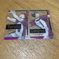 ハイキュー　ファンパーク　クリアカード　牛島若利　天童覚　白鳥沢