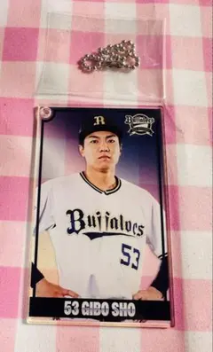 オリックスバッファローズコロコロチャレンジC賞 廣岡大志 - メルカリ