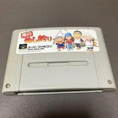 【中古・起動確認済】海のぬし釣り　ソフトのみ