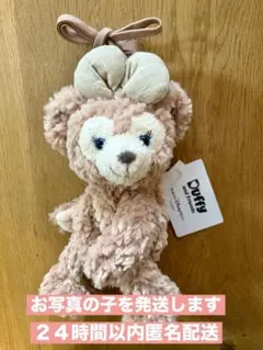 新品タグ付き　シェリーメイ　ショルダーバッグ　ダッフィー＆フレンズ　ディズニー