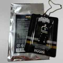 SEVENTEEN 25 HOME アクリルキーリング ホシ