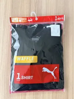 Item thumbnail for item 60707dab-e132-4768-b994-710b12d9abd4