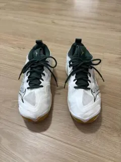 MIZUNO バレーボールシューズ ウエーブモーメンタム3 27.0cmのサムネイル