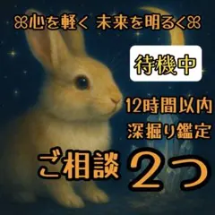 【12時間以内】ご相談２つ ꕤ深掘りチャット鑑定⟡ ࣪