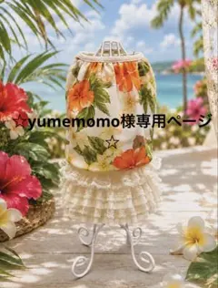 ☆yumemomo様専用ページ☆のサムネイル