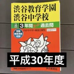 2025年最新】渋渋過去問の人気アイテム - メルカリ