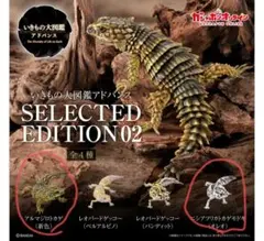 いきもの大図鑑アドバンス 2種セット　 アルマジロトカゲ他
