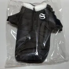 straykids dominATE アプグレ特典 ペットボトルカバー