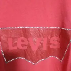 リーバイスTシャツ