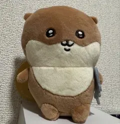 2026年最新】ナガノカワウソの人気アイテム - メルカリ