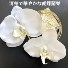 Item thumbnail for item 33716eba-7760-476e-95bf-91f94db5bdad