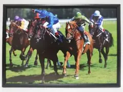 第38回有馬記念優勝Tokai Teio 1000ピース ジグソーパズル - メルカリ