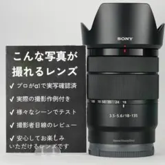 Item thumbnail for item c10644fc-c2ef-446b-ba94-2a471529acab