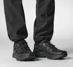 Item thumbnail for item 11a84a53-1baa-4d63-bf0c-46e9815e2d14