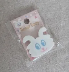 2025年最新】サンダーバニーの人気アイテム - メルカリ