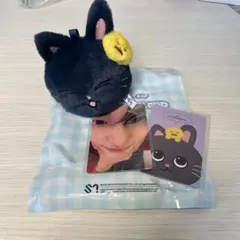 ウォンビン アイドル