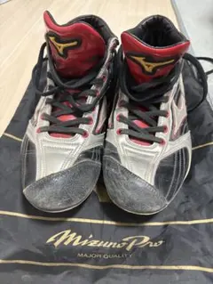 Item thumbnail for item ed04c23a-77aa-4260-8cdc-546672d68eca