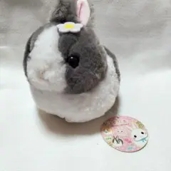 2026年最新】モフリン グレーの人気アイテム - メルカリ