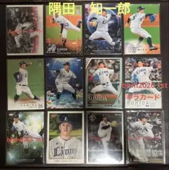 読売ジャイアンツ 亀井善行 レプリカサインボール 野球グッズ 巨人