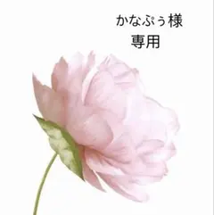 かなぷぅ様　専用
