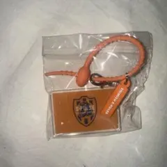 清水エスパルス マルチチャーム