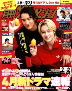 月刊ザテレビジョン 首都圏版 2026年4月号 岩本照 Snow Man