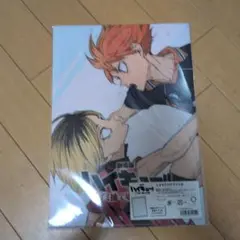 ハイキュー!! ゴミ捨て場の決戦 シネマクリアファイル