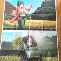 Fate/Grand Order 10周年記念 秋田魁新報 新聞広告 2枚セット