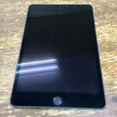 iPad mini 第5世代 Wi-Fiモデル 256GB