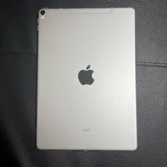 Apple iPad シルバー本体