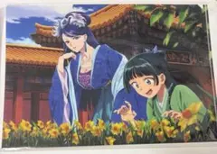 Item thumbnail for item 47d8da08-dc3d-4e59-9218-3f7eec4d8d1f