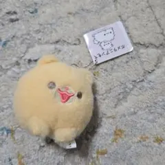 ポメラニアンもち 犬 ぬいぐるみ クレーンゲーム アミューズメント景品のサムネイル