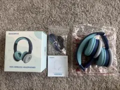 Item thumbnail for item e2df1853-628f-47ce-95cd-8b7985679e96