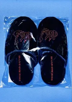 B'z FYOP ルームスリッパ レッド L ④ B'z LIVE-GYM 2025 -FYOP- ルームスリッパ L 黒｜Yahoo!フリマ（旧