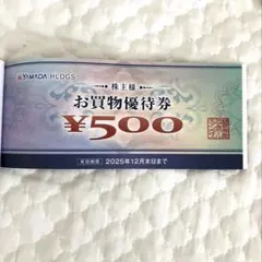 ヤマダ電機　株主様お買物優待券2000円分