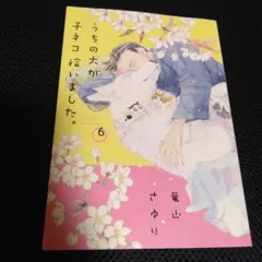 うちの犬が子ネコ拾いました。6