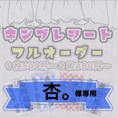 杏。様専用/キンブレシートオーダー/小晴のかちゃん/速達