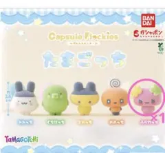 たまごっち カプセルトイ ガチャガチャ　カプセルフロッキーズ　ふらわっち