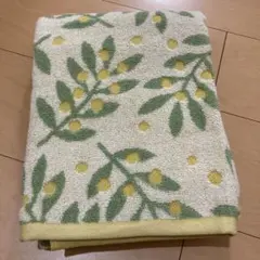 Item thumbnail for item 46f92ad6-3850-42ab-973c-e673d9398510