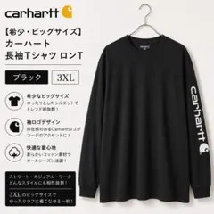 【希少・ビッグサイズ】カーハート Carhartt 長袖Tシャツ 黒 3XLのサムネイル