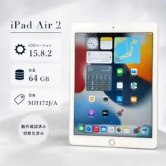 iPad Air2 64GB セルラー ゴールド 動作確認済　ケースおまけのサムネイル