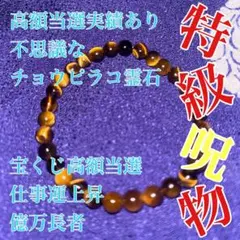 2026年最新】チョウピラコ様の人気アイテム - メルカリ